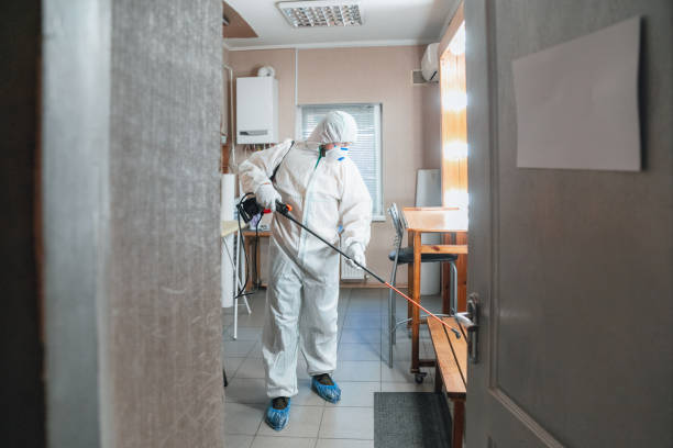 Best Environmental Consulting for Mold Prevention  in Bennett, CO