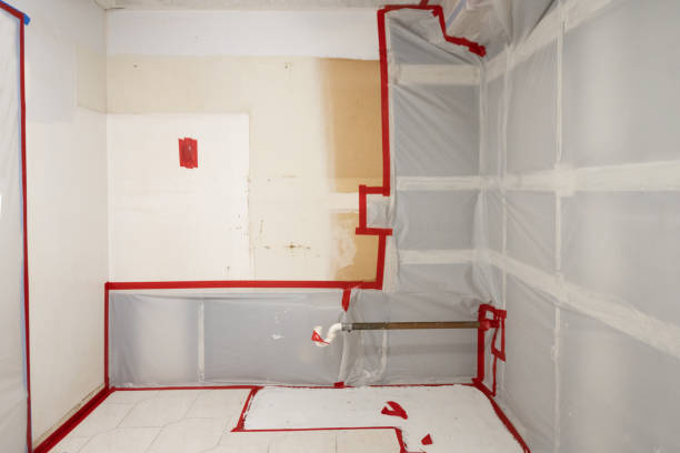 Best Attic Mold Removal  in Bennett, CO