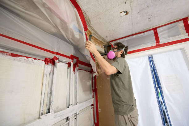 Best Mold Damage Restoration  in Bennett, CO