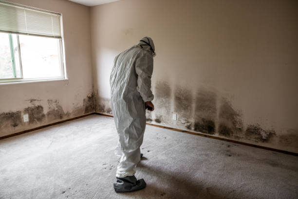 Best Crawl Space Mold Remediation  in Bennett, CO